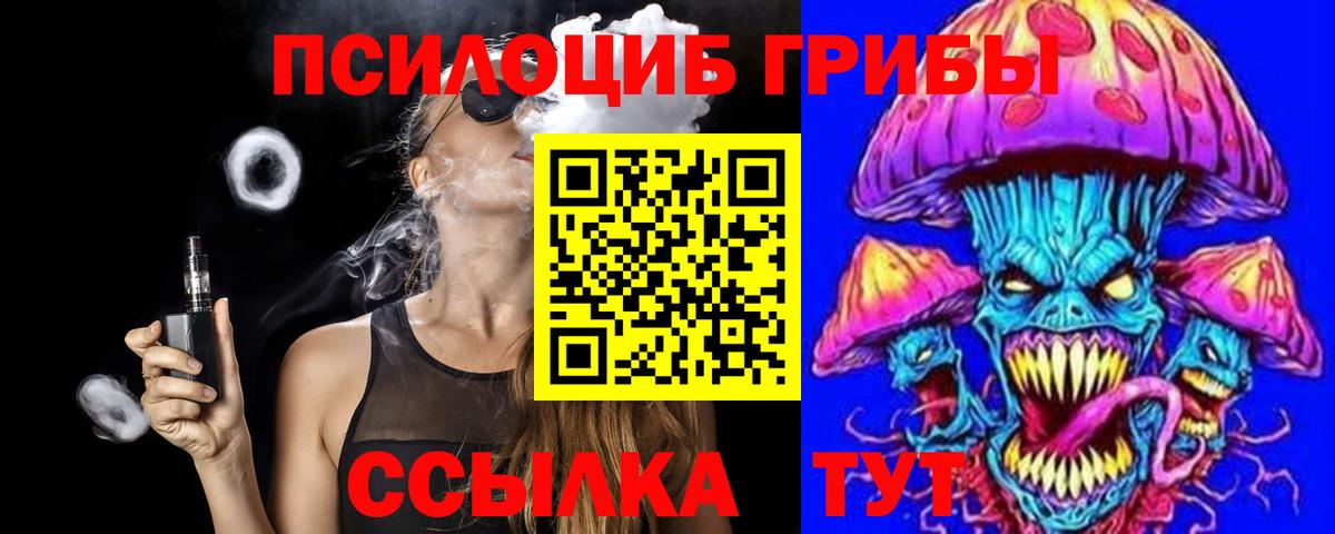 Псилоцибиновые грибы Cubensis Кимовск