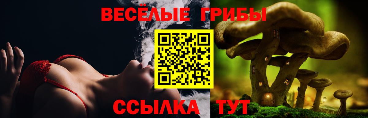 Псилоцибиновые грибы мухоморы  Вход с VPN  Кимовск 